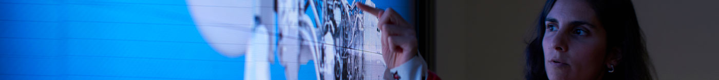 Bild zu Procurement Process & Change Analyst